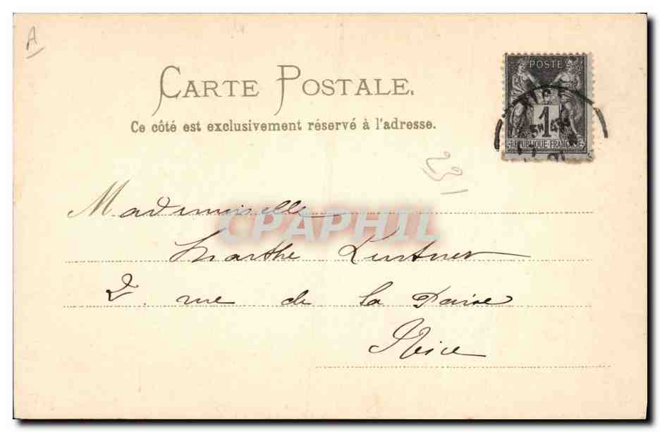 Femme entourée de narcisses — illustration signée M.S.M. — éditeur inconnu — Verso