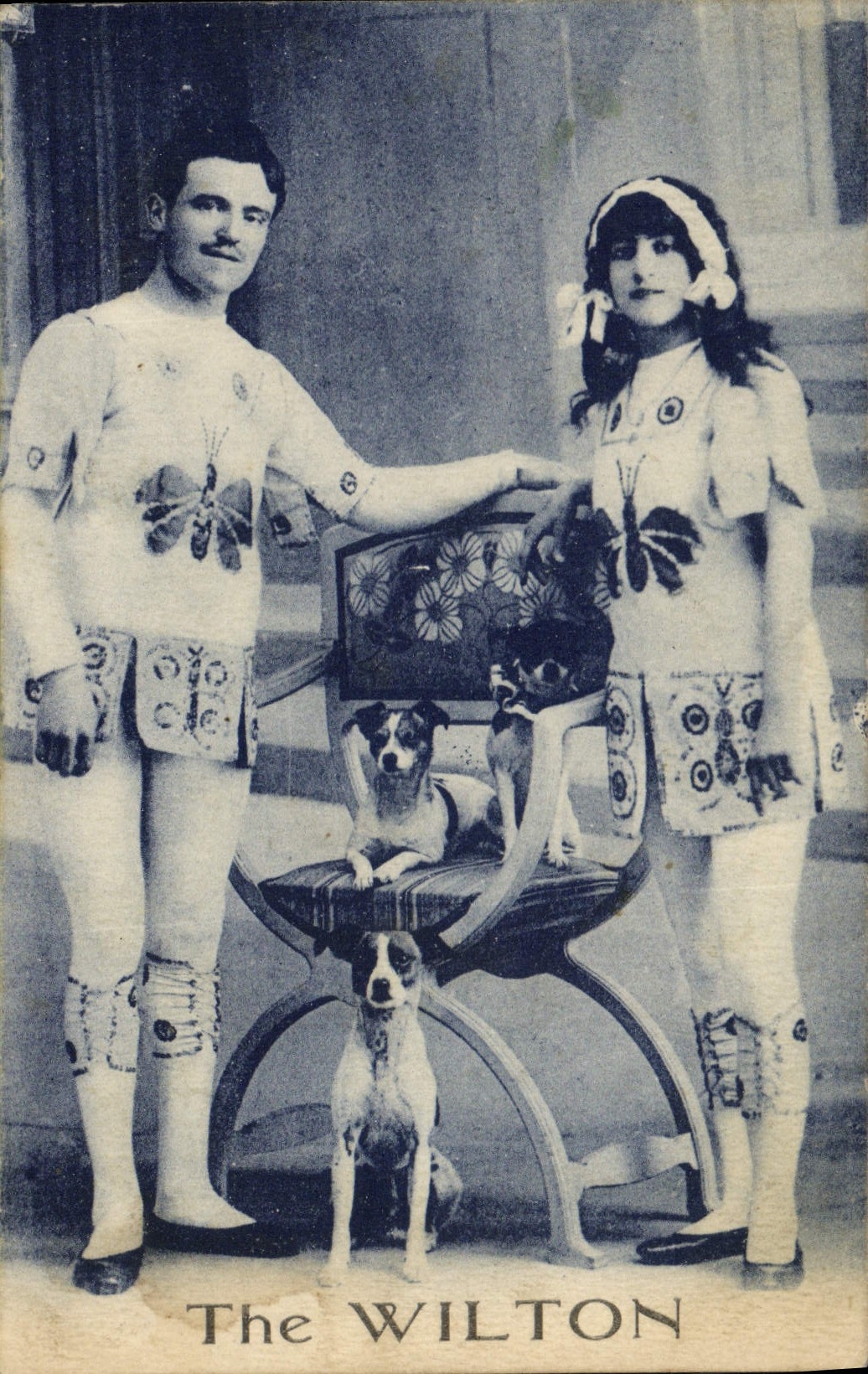 The WILTON — Couple en costumes de papillons — éditeur The WILTON