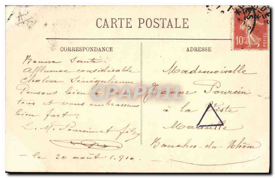 CPA Chien Chiens des Pyrenees  — Verso