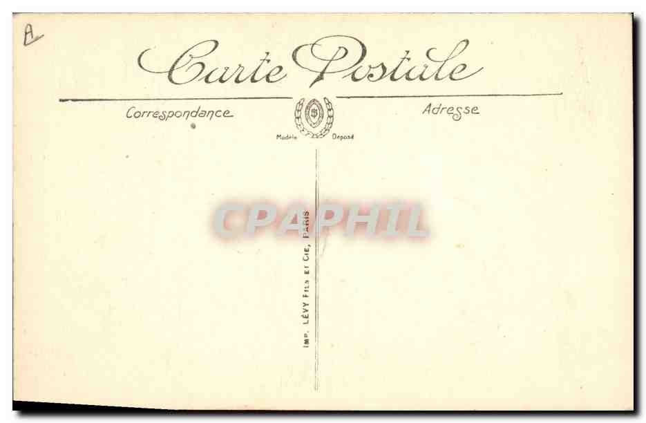 Bénénées — Chien de Montagne — LL. — Reverso