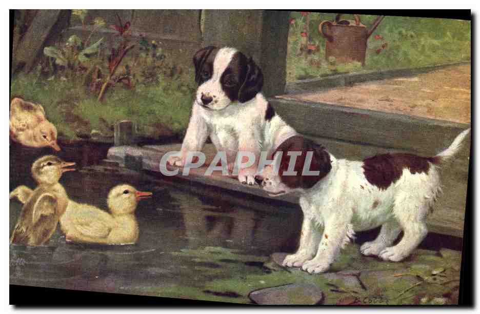 Chiots et canetons — scène de jardin — Tuck & Sons, série III n° 9537