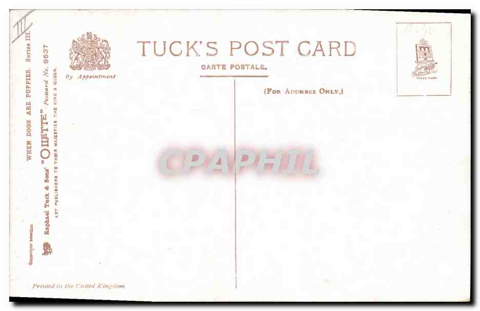 Chiots et canetons — scène de jardin — Tuck & Sons, série III n° 9537 — Reverso