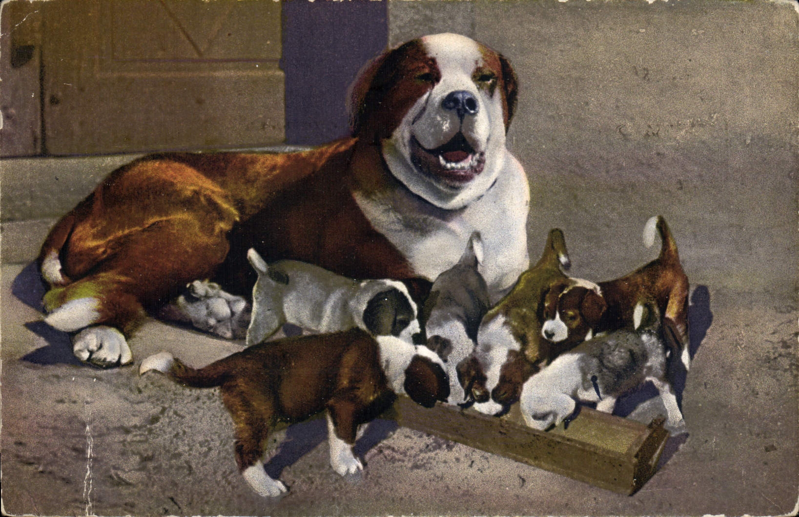 Chien du St Bernard et sa nichée — Société Graphique Neuchâteloise, n° 1046
