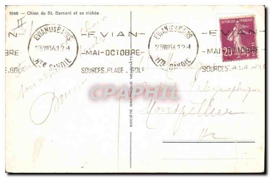 Chien du St Bernard et sa nichée — Société Graphique Neuchâteloise, n° 1046 — Reverso