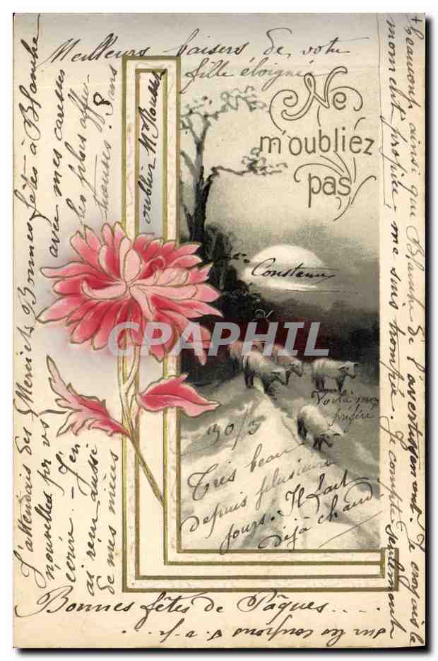 CPA Fantaisie Fleurs Moutons