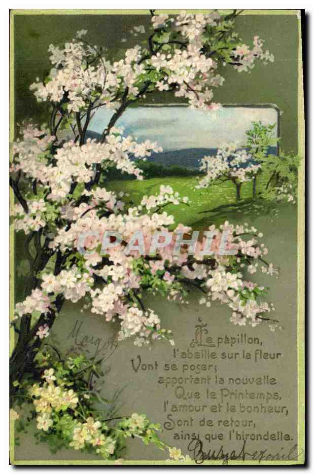 CPA Fantaisie Fleurs 