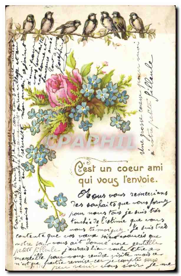 CPA Fantaisie Fleurs Oiseaux