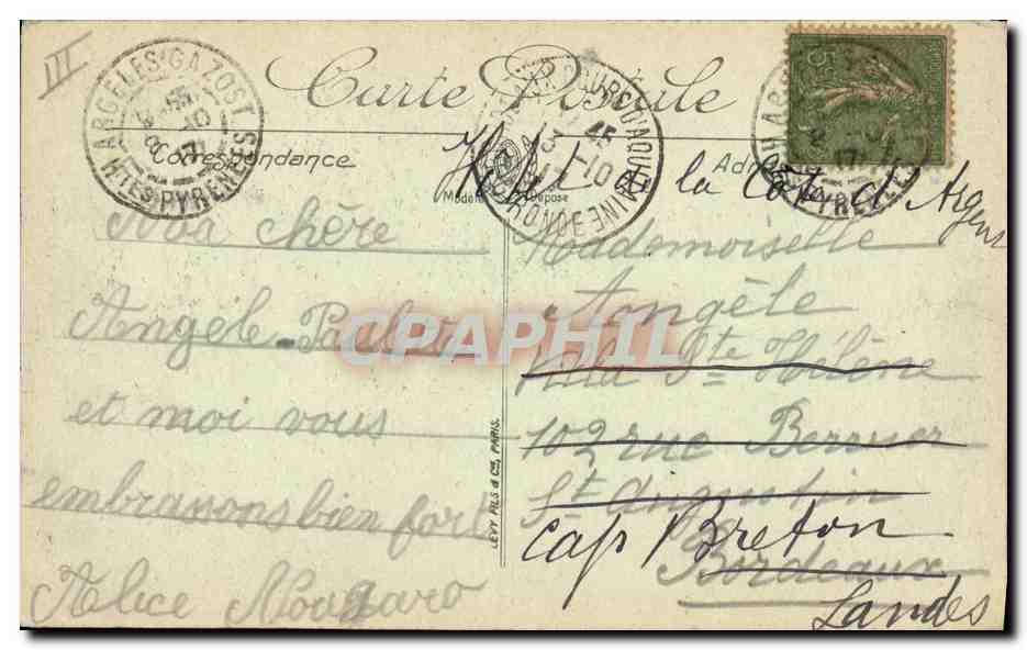Chiens des Pyrénées — Gazost 1er et ses petits du Chensl-Club d'Argelès — LL. n°49 — Reverso
