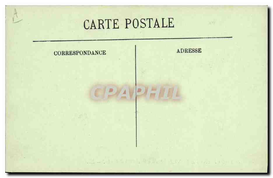 CPA Petits Chiens de montagne du chenil club d'Argeles Chien  — Verso