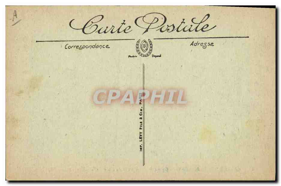Chiens des Pyrénées — Gazost Ier et ses petits du Chenil-Club d'Argelès — LL. — N°49 — Verso