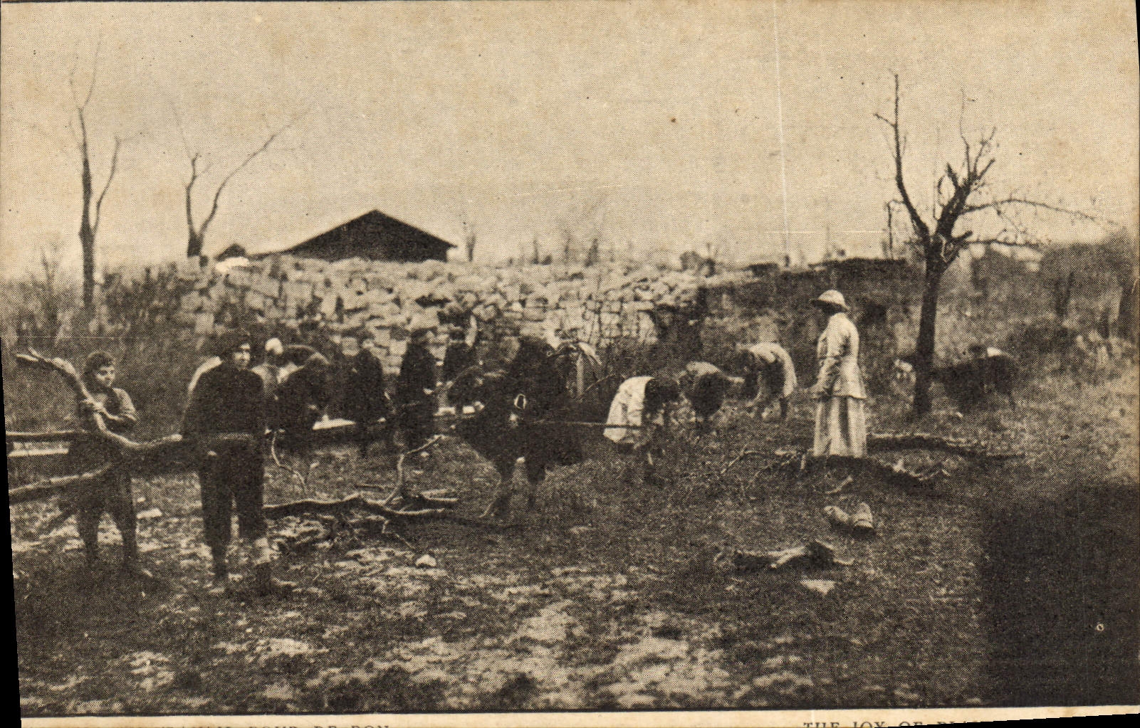 Travail dans un paysage dévasté — The Joy of Work — American Committee for Devastated France