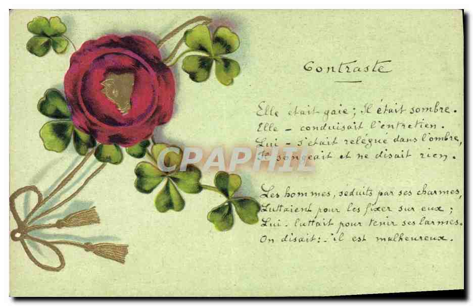 CPA Fantaisie Fleurs Sanglier Trefles 