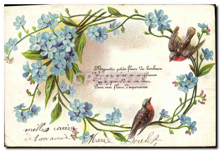 CPA Fantaisie Fleurs Oiseaux 
