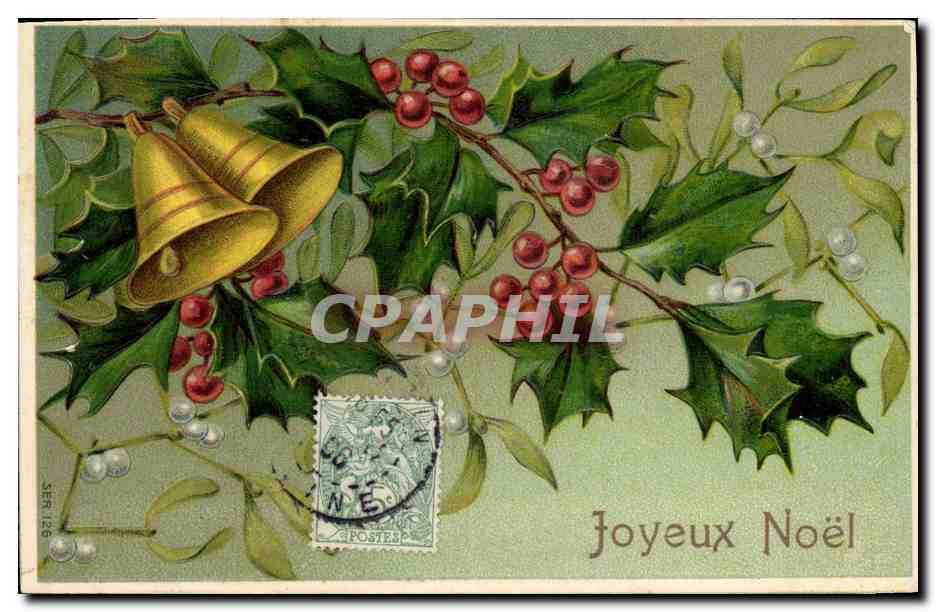 CPA Fantaisie Fleurs Noel 