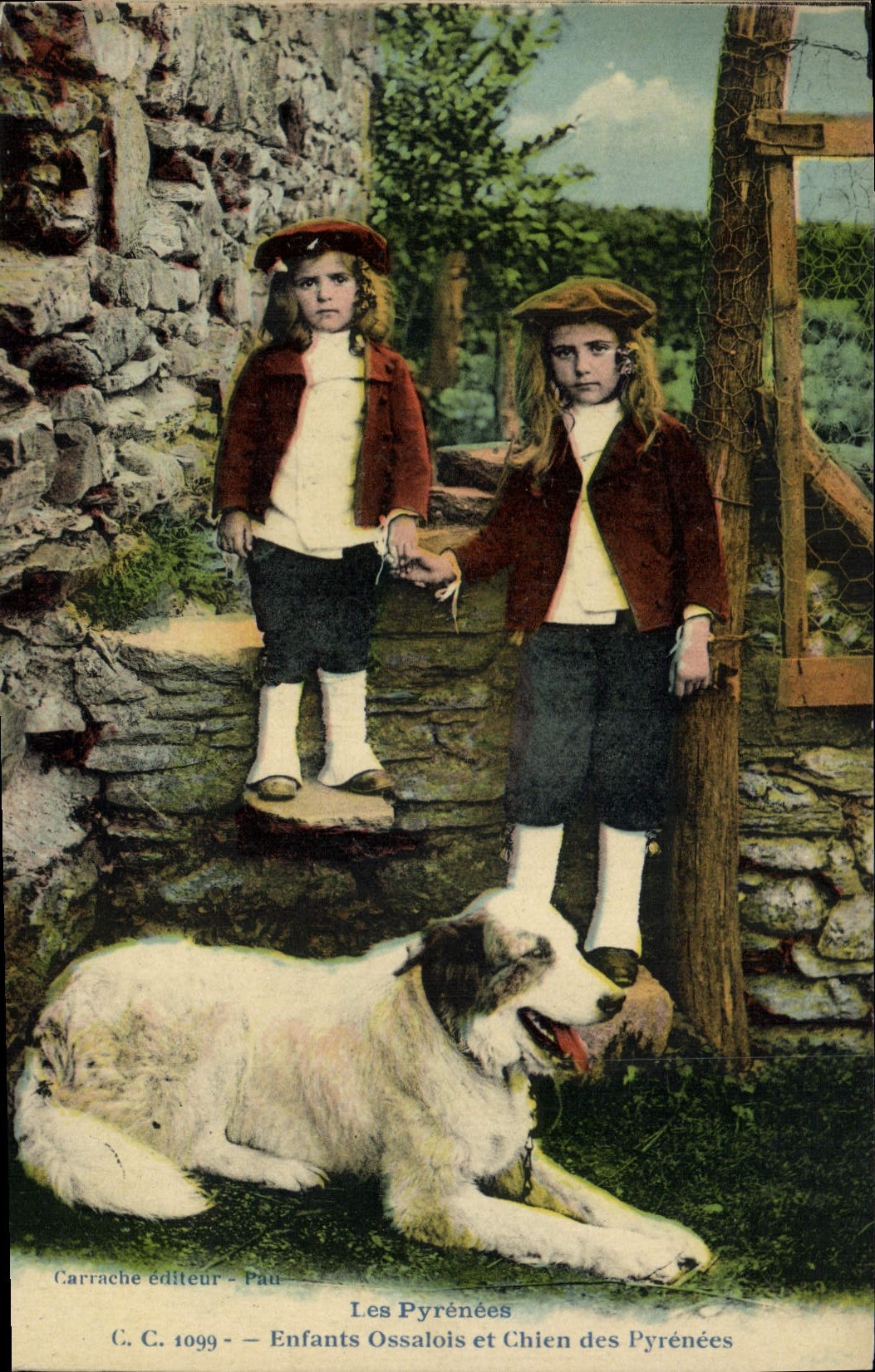 Enfants Ossalais et Chien des Pyrénées — Carrache éditeur - Pau, n° 1099