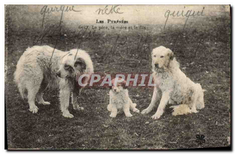Les Pyrénées — Le père, la mère et le fils — éditeur non identifié, n° 6483