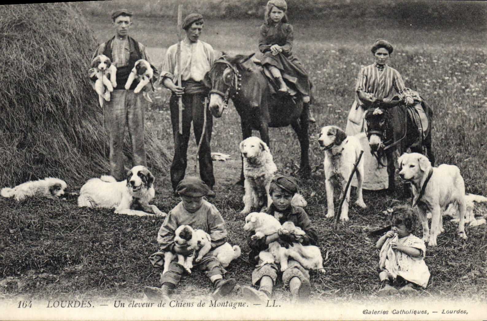 Lourdes — Un éleveur de Chiens de Montagne — Galeries Catholiques, Lourdes, n°164