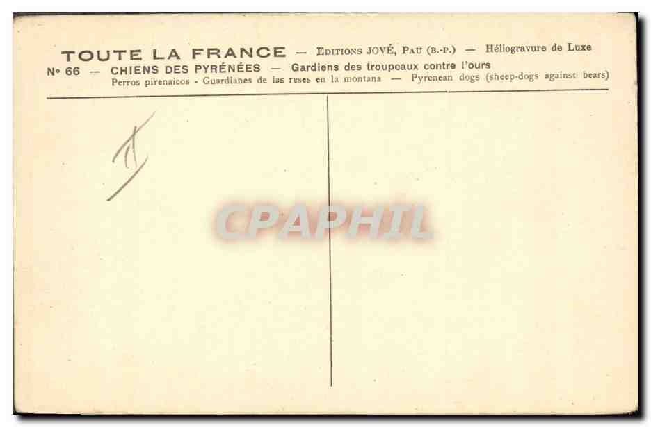 Deux chiens pyrénéens — Éditions Jové, Pau — N° 66 — Reverso