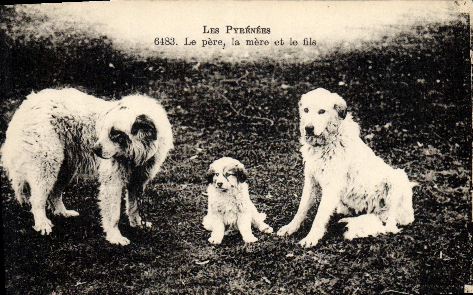 Les Pyrénées — 6483. Le père, la mère et le fils — éditeur non visible