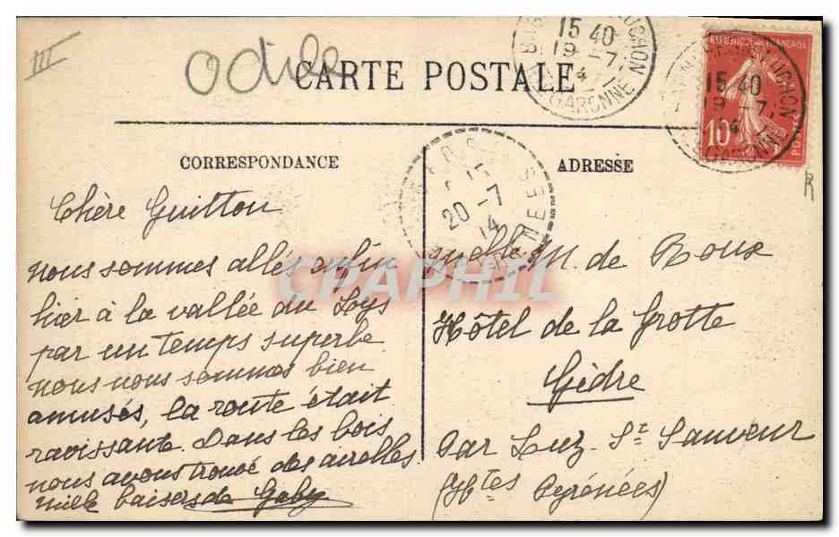 Chiens des Pyrénées — Gazost 1er et ses petits du Chenil-Club d'Argelès — LL. — SELECTA — Reverso
