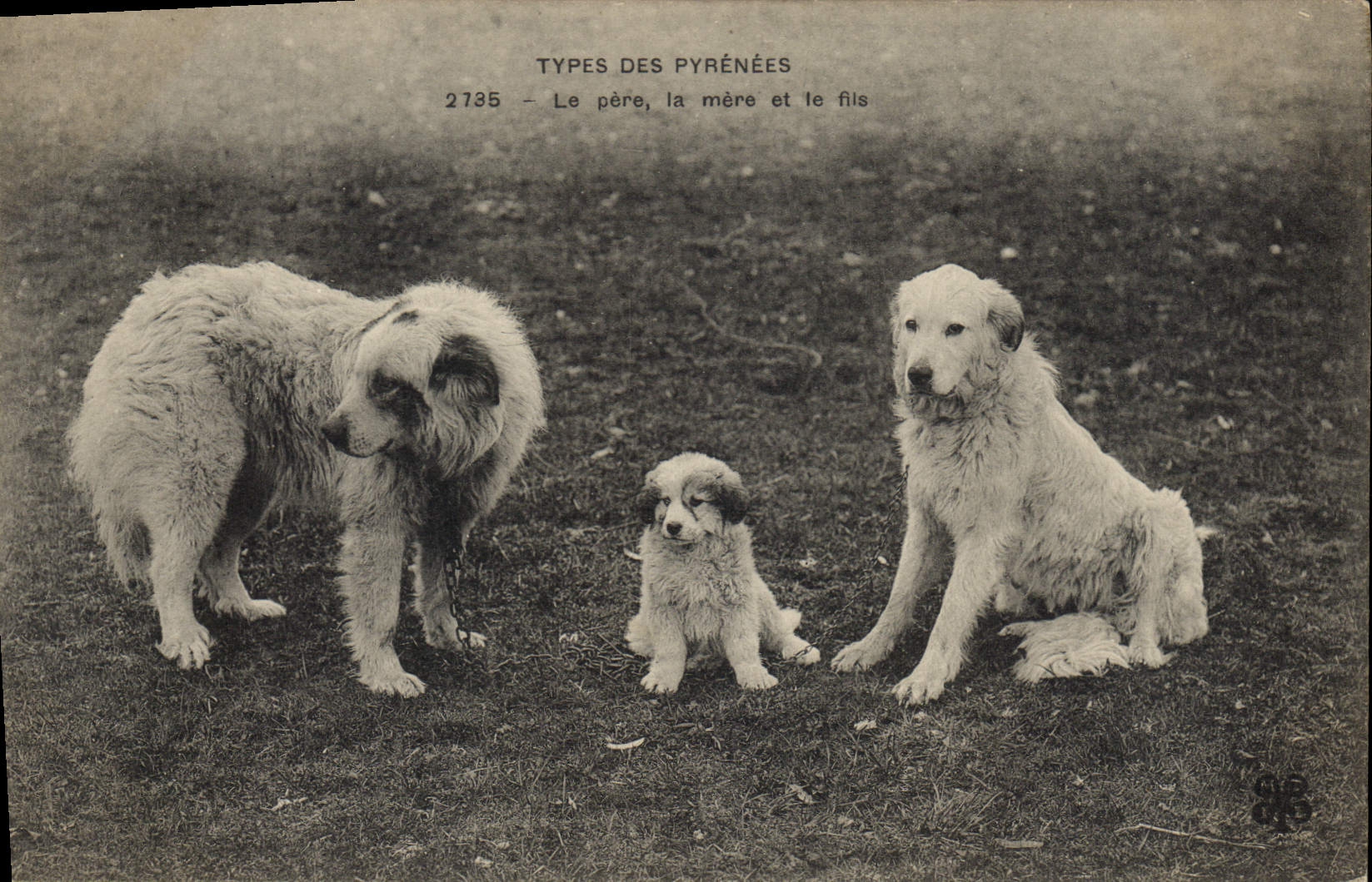 Types des Pyrénées — Le père, la mère et le fils — n° 2735