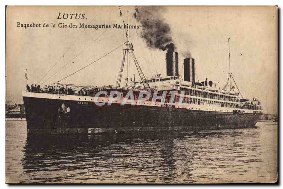 CPA Bateau Lotus Paquebot de la Cie des Messageries Maritimes 