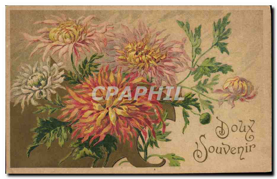 CPA Fantaisie Fleurs 