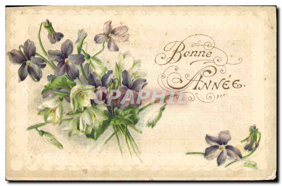 CPA Fantaisie Fleurs 