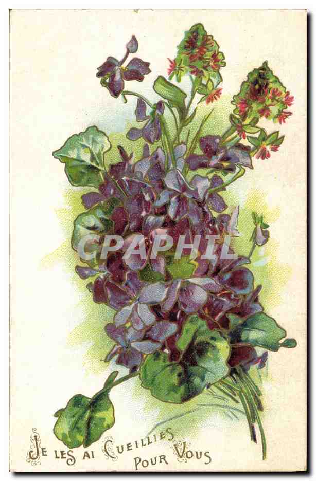 CPA Fantaisie Fleurs 