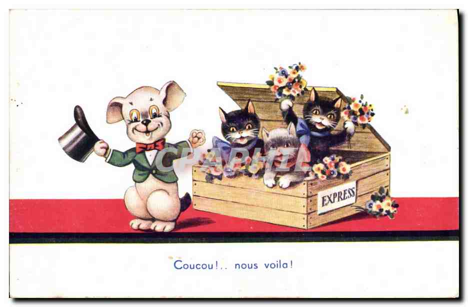 CPA Fantaisie Illustrateur Chat Chats Chaton 