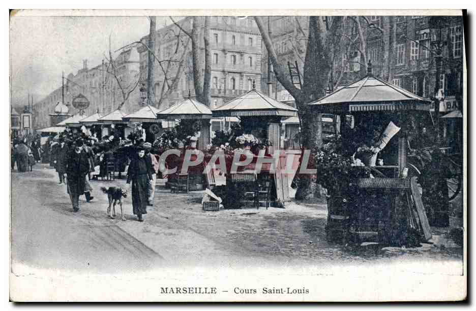 CPA Chien Chiens Marseille Cours Saint Louis Levrier 