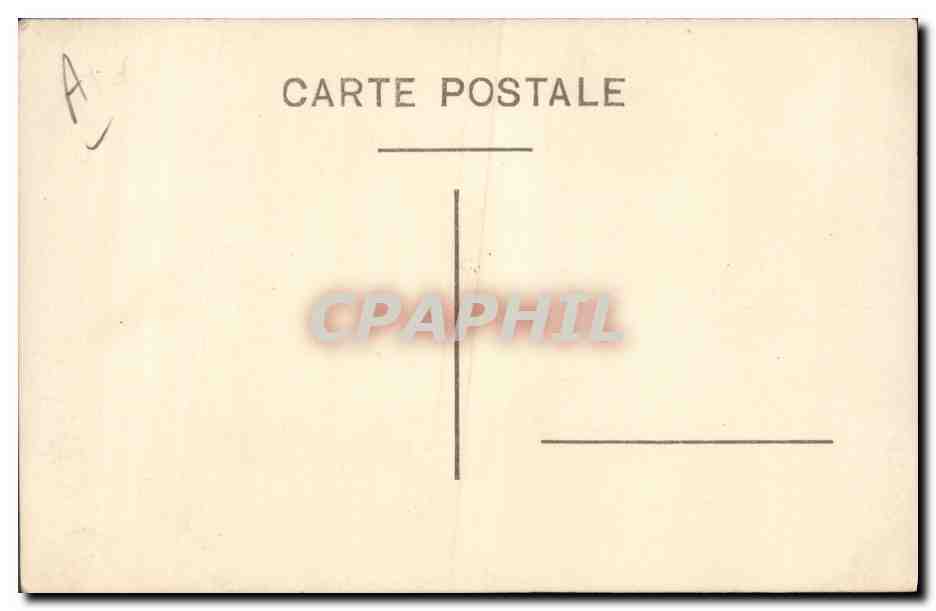 CARTE PHOTO Chien Chiens Enfant Levrier  — Verso