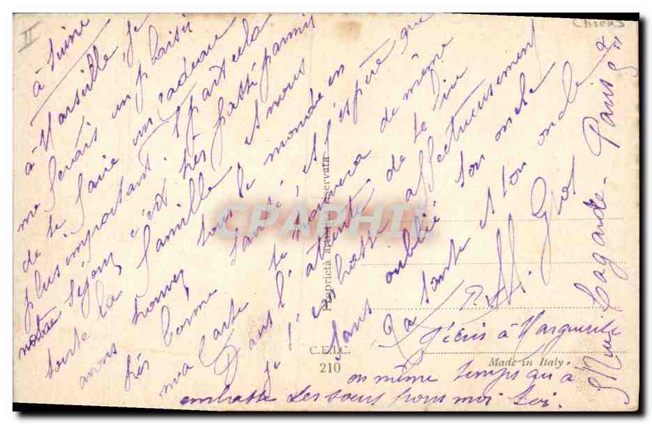 CPA Chien Chiens Femme Levrier  — Rückseite
