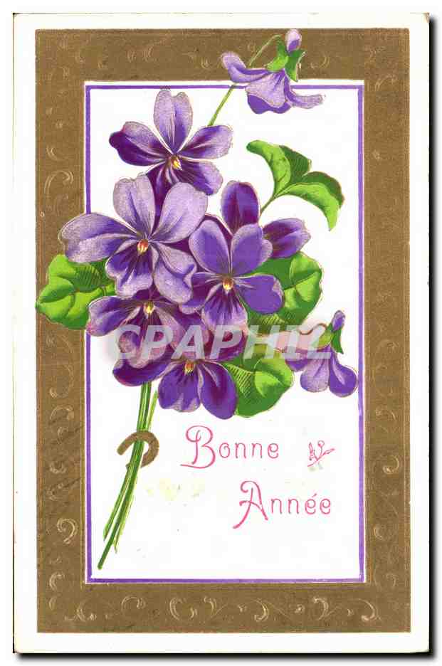 CPA Fantaisie Fleurs 