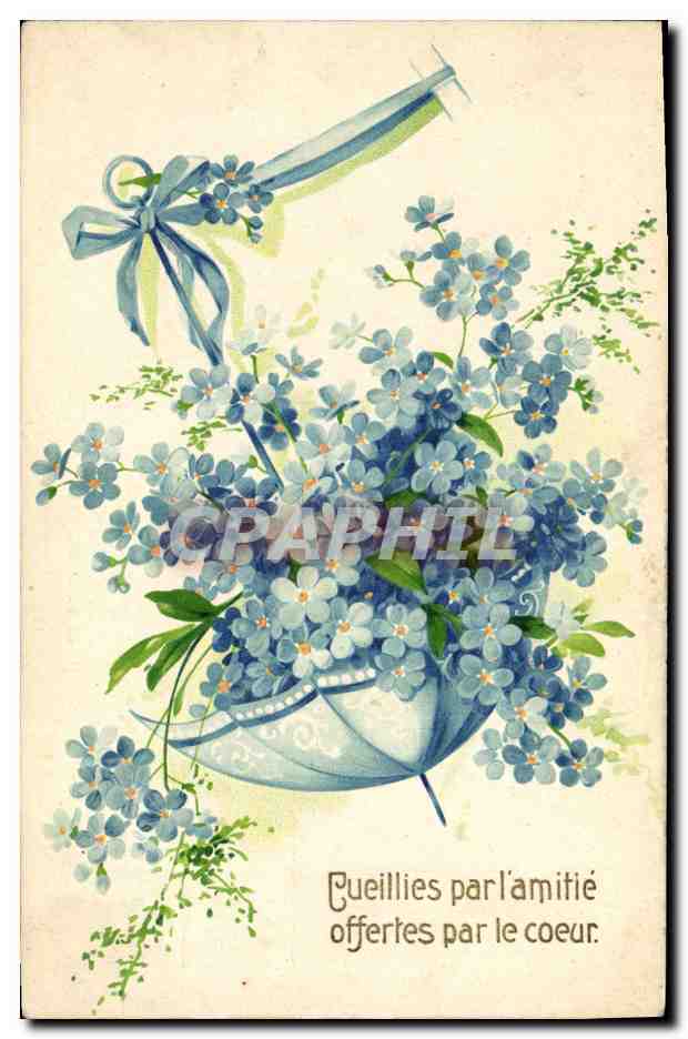 CPA Fantaisie Fleurs 