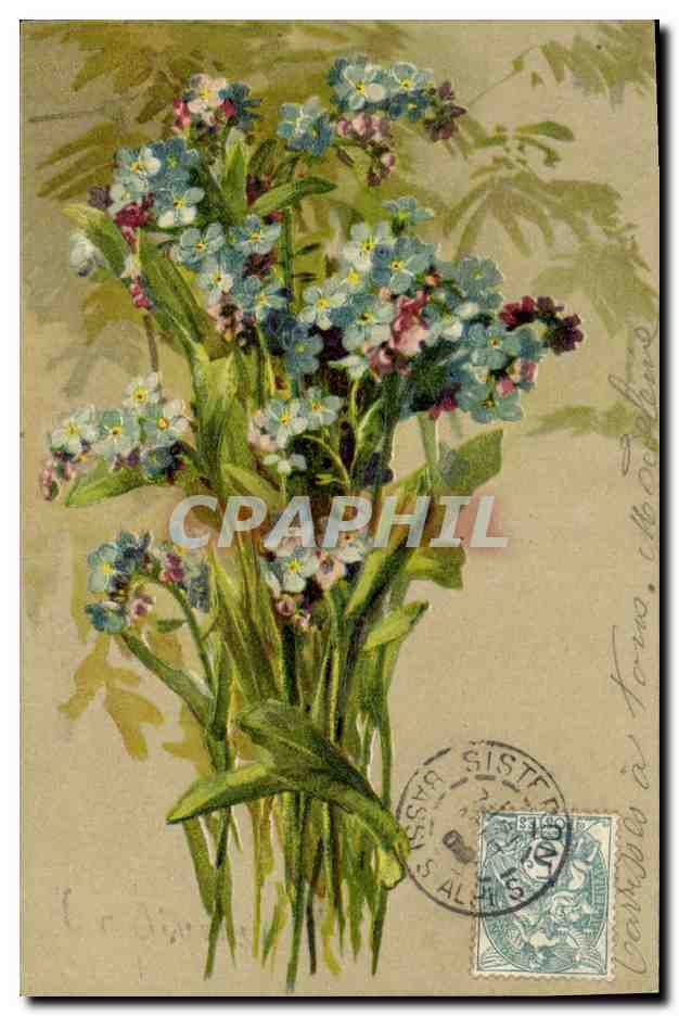 CPA Fantaisie Fleurs 