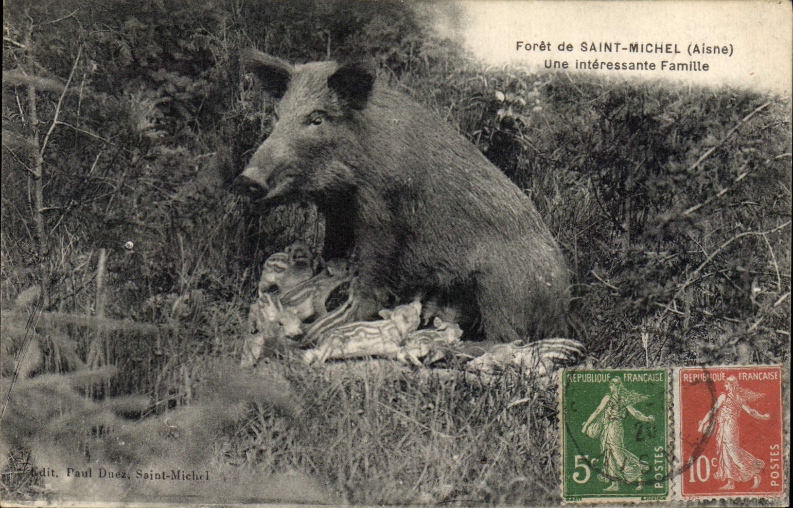 Forêt de SAINT-MICHEL (Aisne) — Une intéressante Famille — Edit. Paul Duez, Saint-Michel