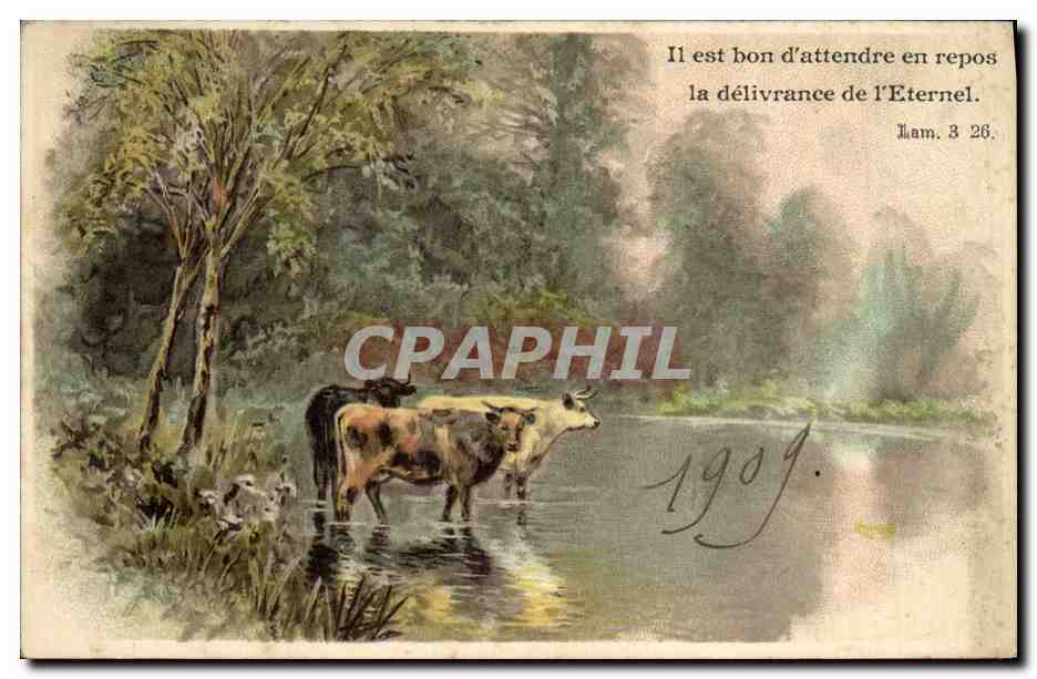 CPA Fantaisie Illustrateur Vaches 
