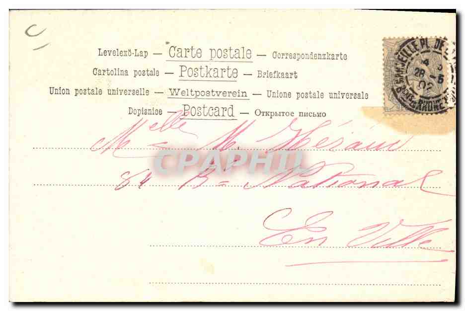 CPA Chien Chiens Levrier  — Rückseite