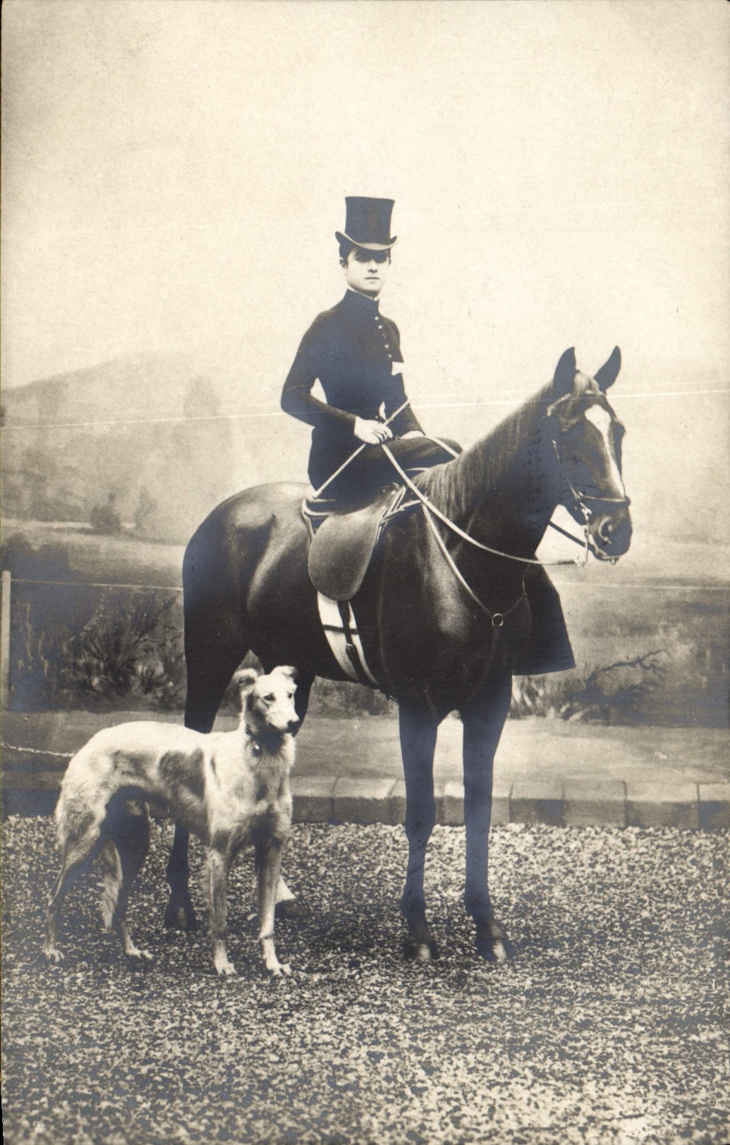 CARTE PHOTO Cavalier Cheval Chien Chiens Levrier 
