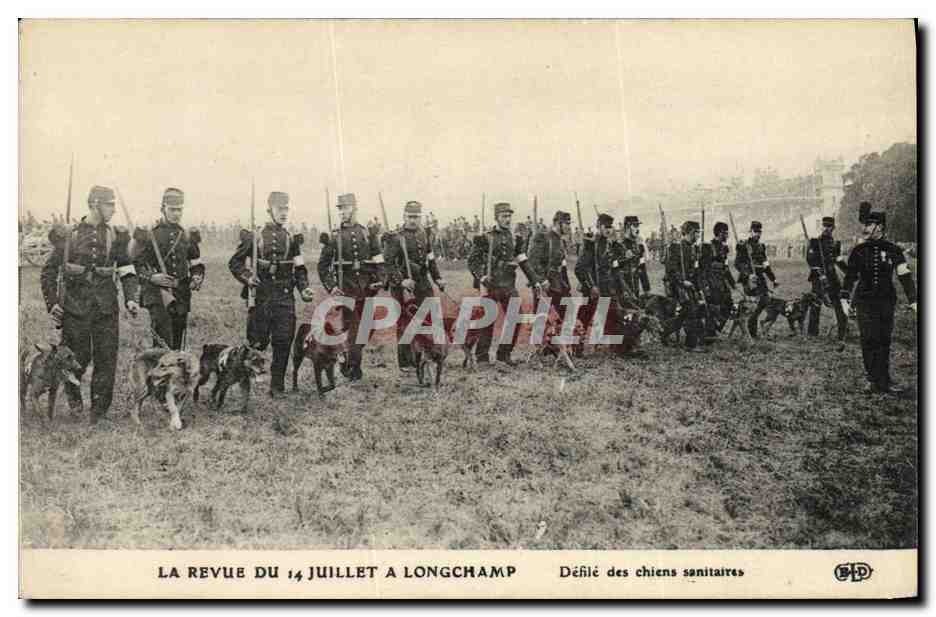 La revue du 14 juillet à Longchamp — Défilé des chiens sanitaires — BPD