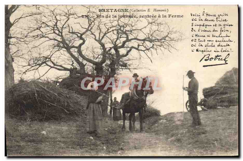 CPA Folklore Fin de la journee rentree a la ferme Cheval 