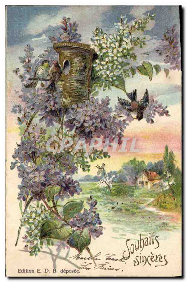 CPA Fantaisie Fleurs Oiseaux 