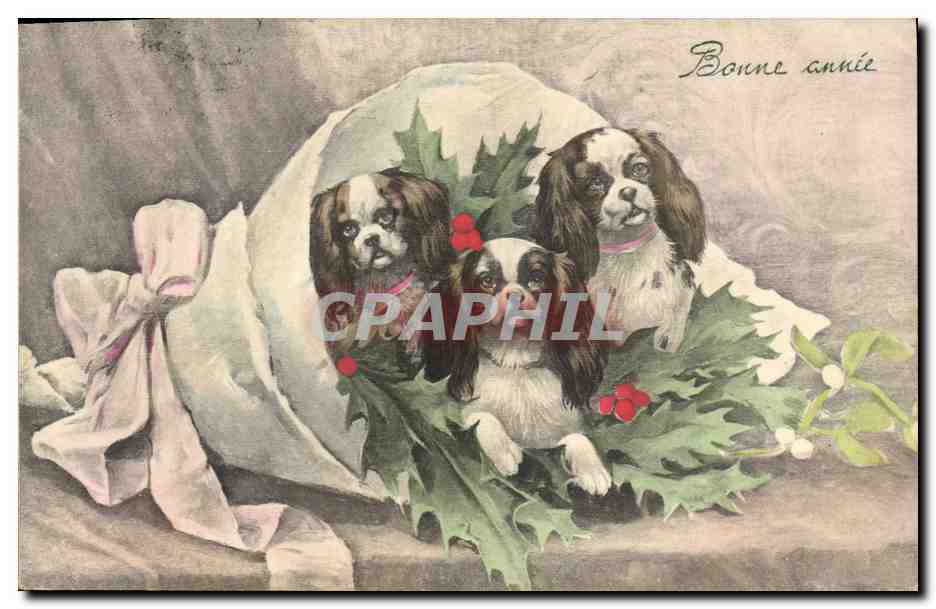 CPA Fantaisie Illustrateur Chiens