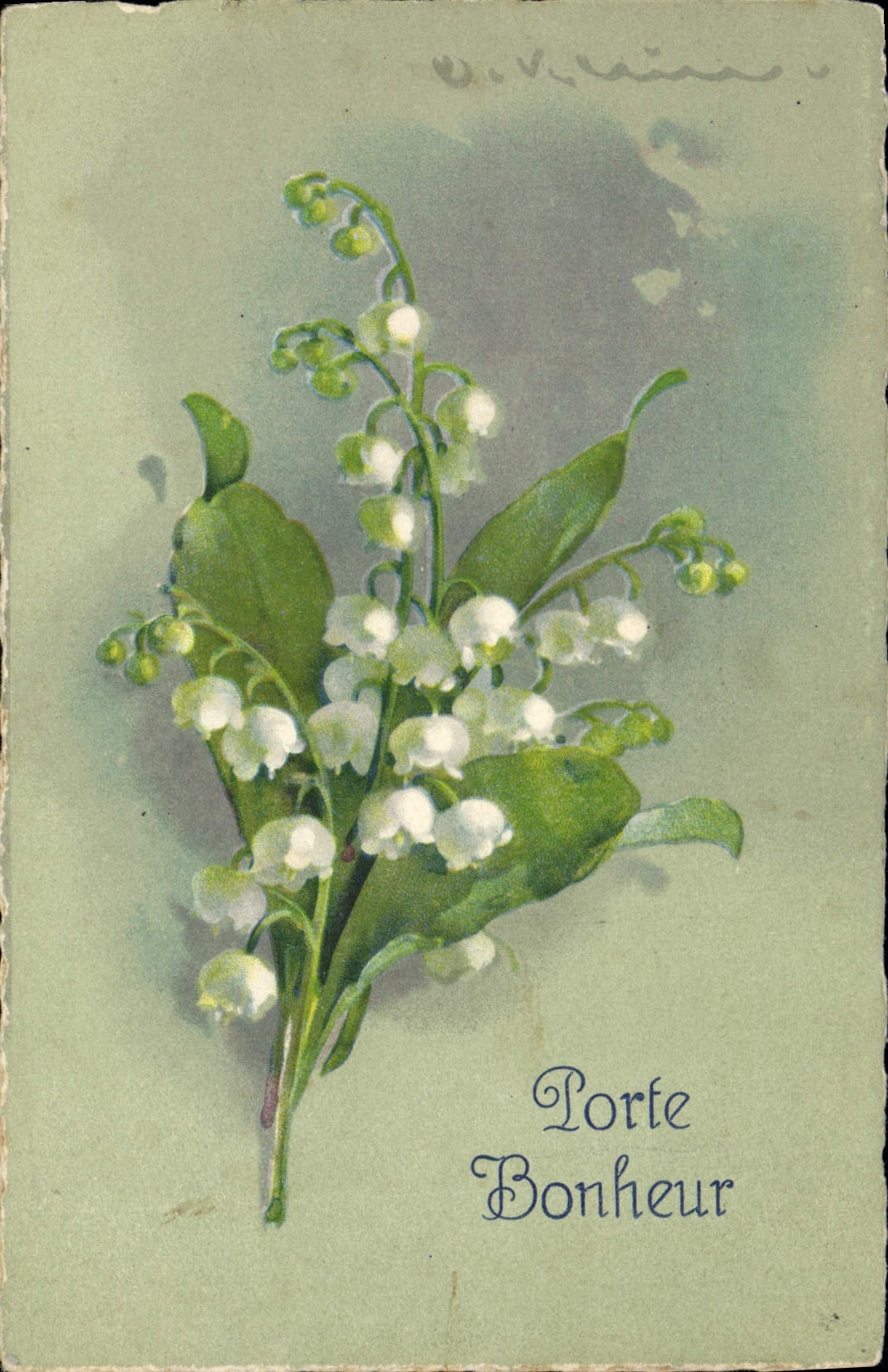 CPA Klein Fleurs 