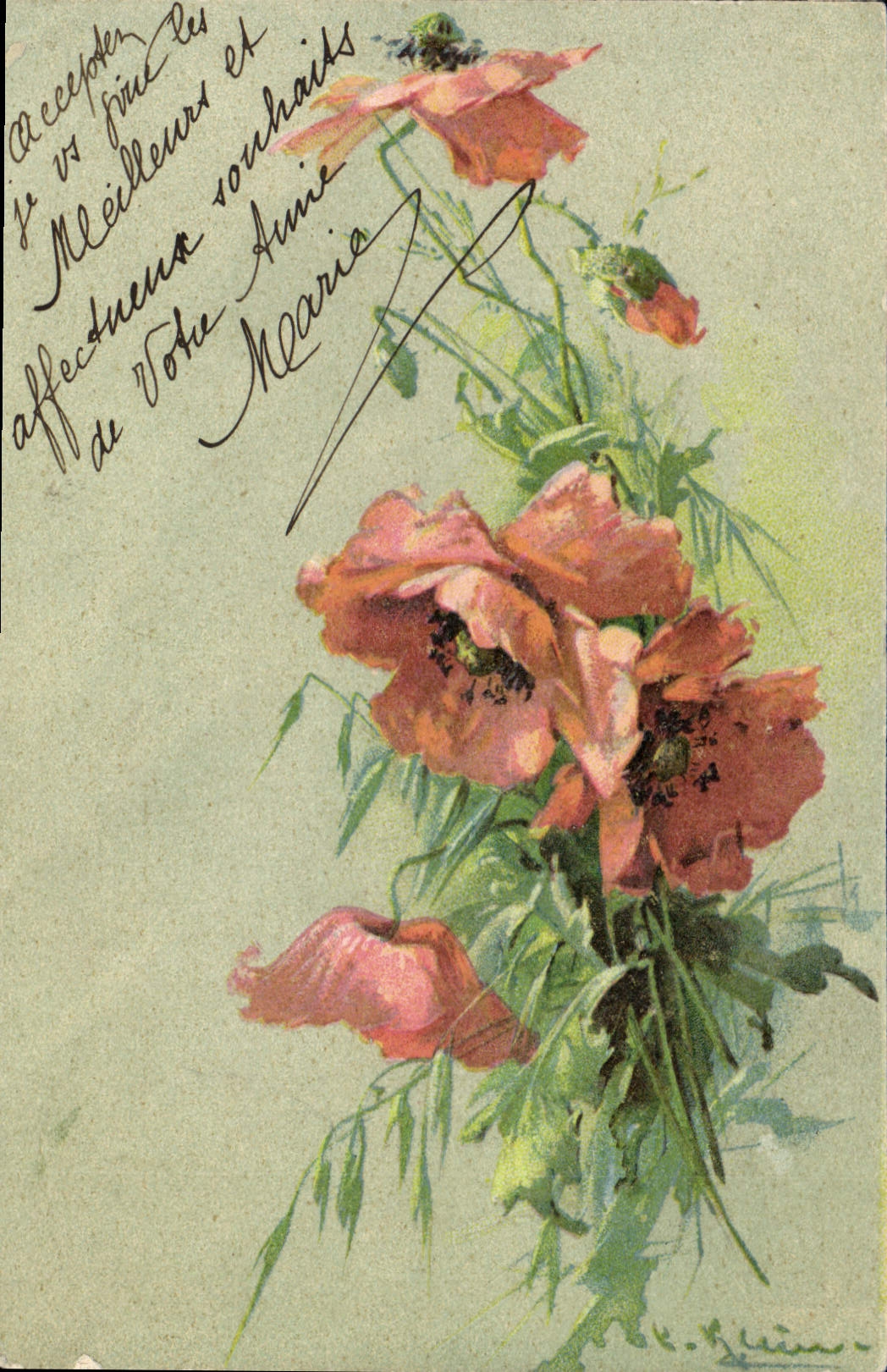 CPA Klein Fleurs 