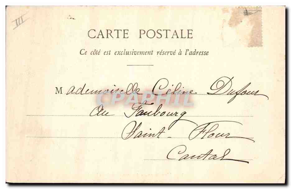 Les Toutous — Photographie A. Bergnet & Cie — N° 19 — Reverso