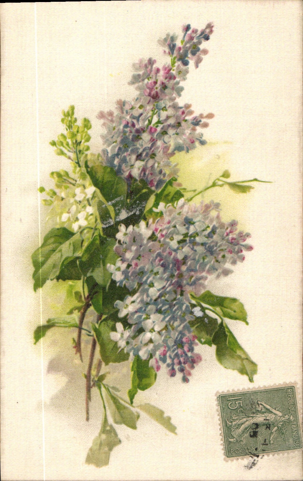Bouquet de lilas — illustration colorée — éditeur non visible