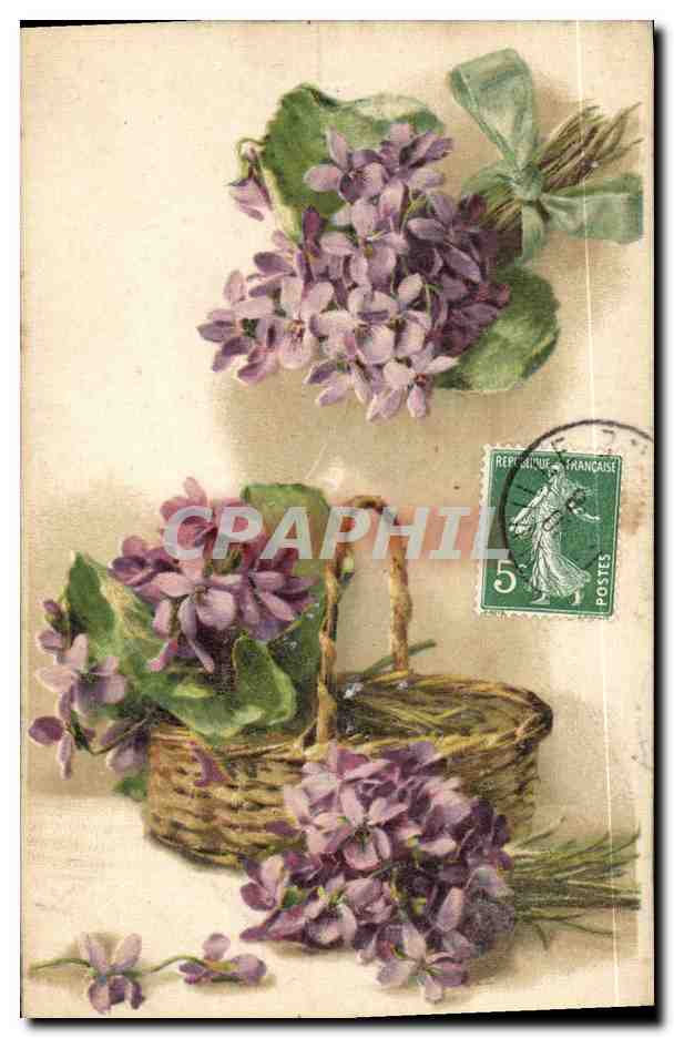 Violets — bouquet et panier — éditeur non visible