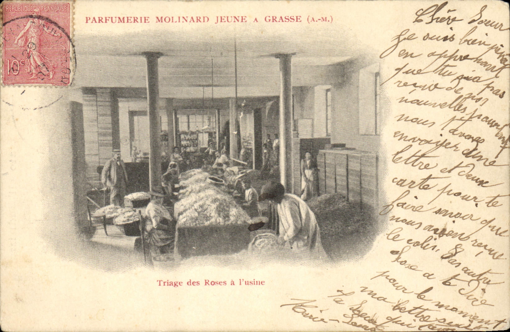CPA Cueillette Triage des roses a l'usine Parfumerie Molinard Jeune a Grasse TOP 